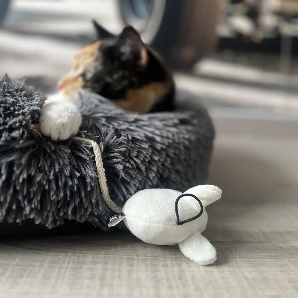 HappyCat Kattelegetøj MOOSY 2 stk
