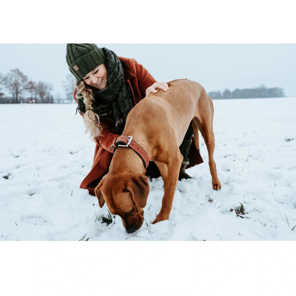 Hunter Canadian UP Hundehalsbånd M 55 Sort/Cognac - 42-48 cm