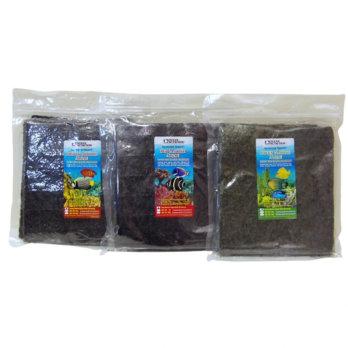 Brune Marine Alger (Brown Marine Algae) 12 Gram