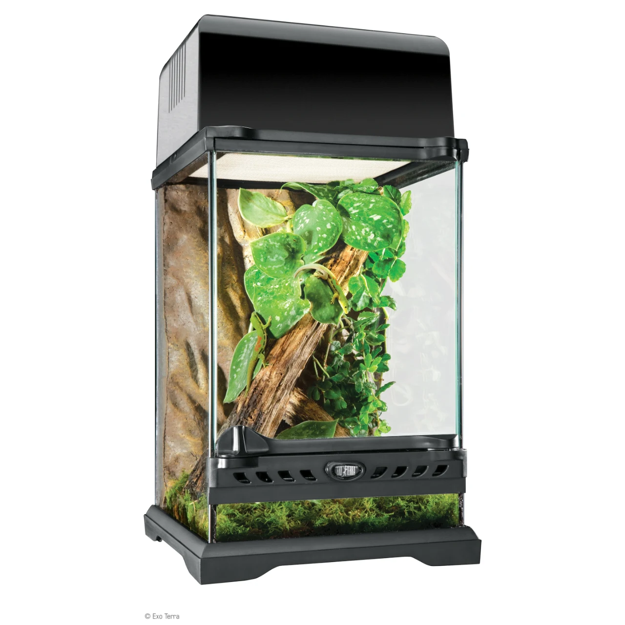 Exo Terra Compact Top Lampe 30 cm
