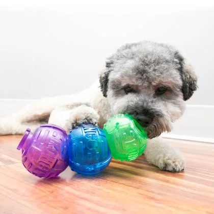 KONG Lock it Small - snackbold til små hunde