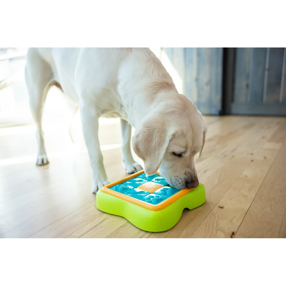Dog Challenge Slider Aktiveringslegetøj - Niveau 2