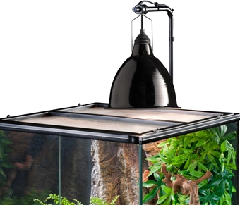 Exo Terra Reptile Dome stor Ø 21 cm