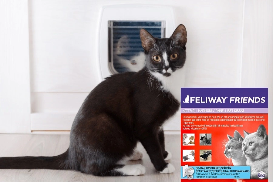 Feliway Friends diffusor med flaske 48 ml