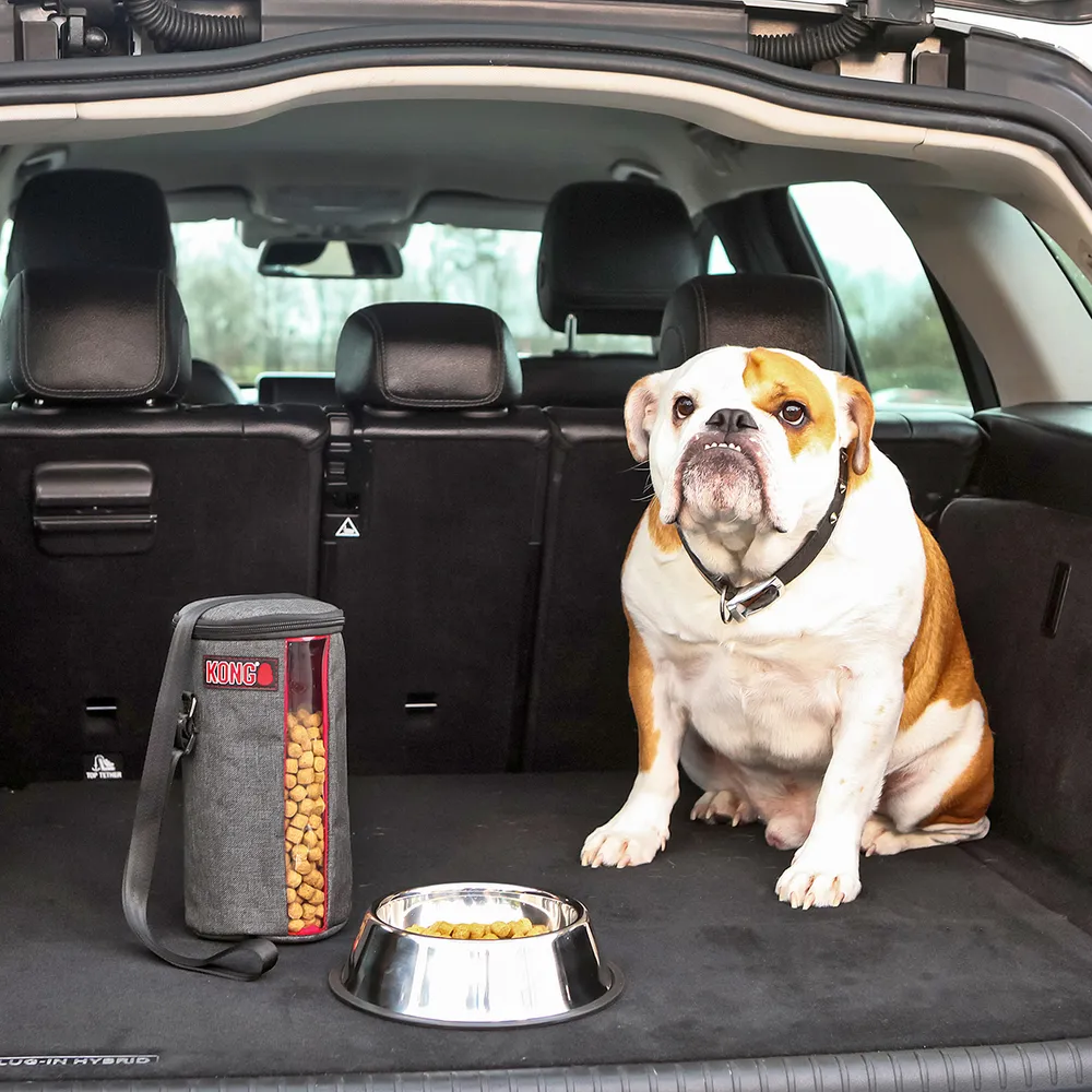 Kong Kibble Storagebag 25x13x13 cm