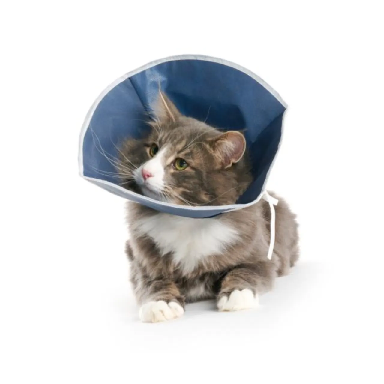 BUSTER stof halskrave 31 cm til katte og små hunde