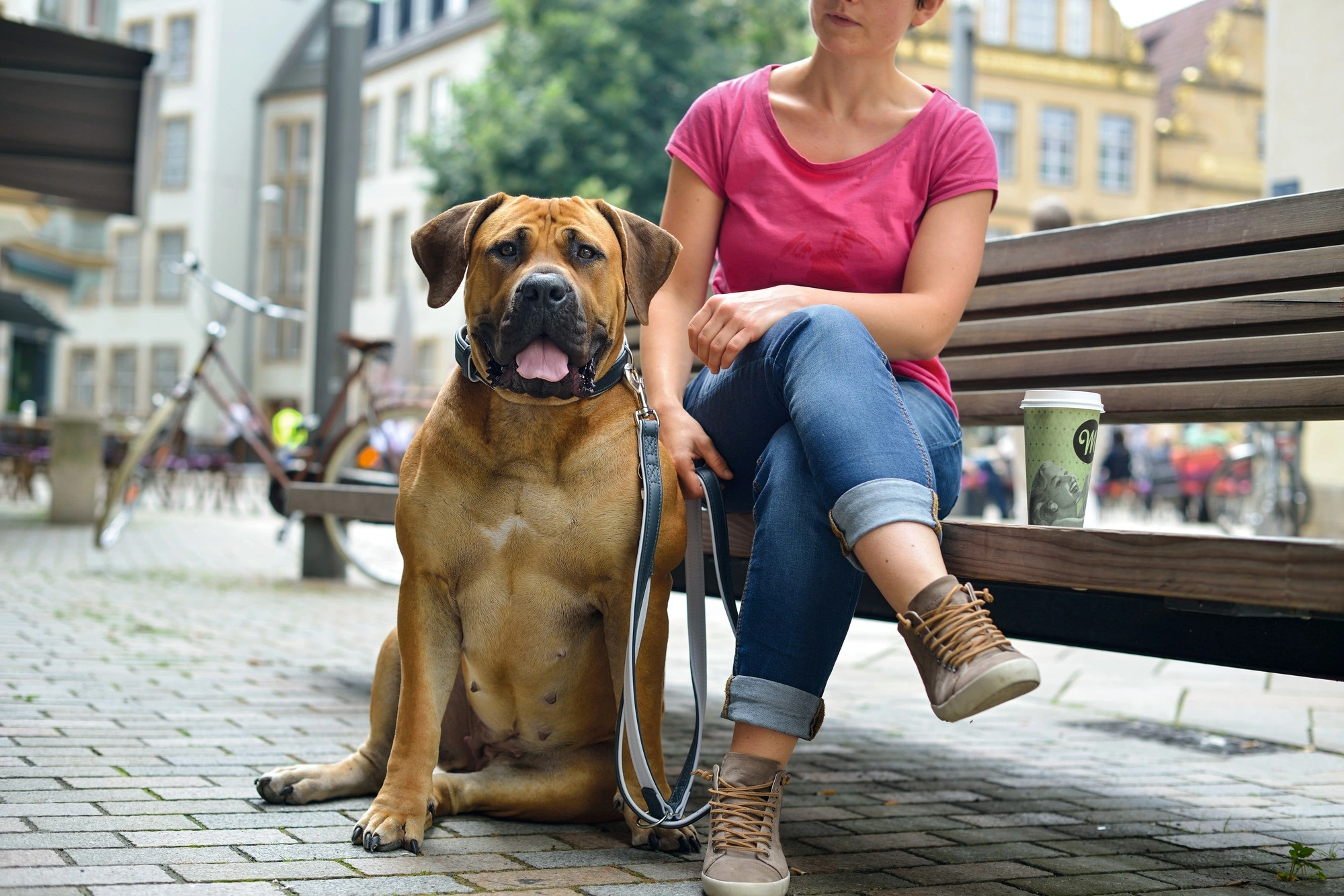 Hunter Hundehalsbånd læder Canada Elg Grå 30 - 21-25 cm
