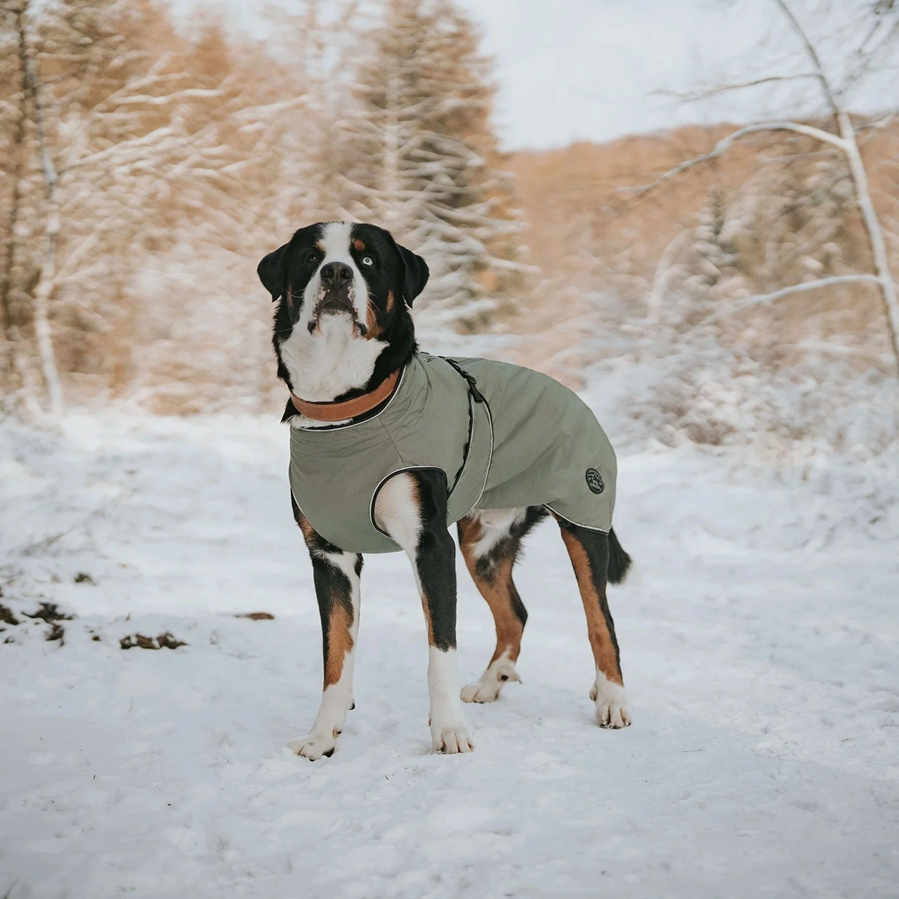 Hunter Uppsala dækken Khaki grøn 30 cm