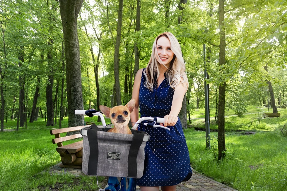 AFP Travel Dog Easy Go