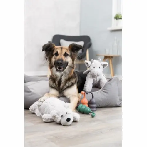 Be Eco Drage Elwin - bamse i genbrugsplys til hunde