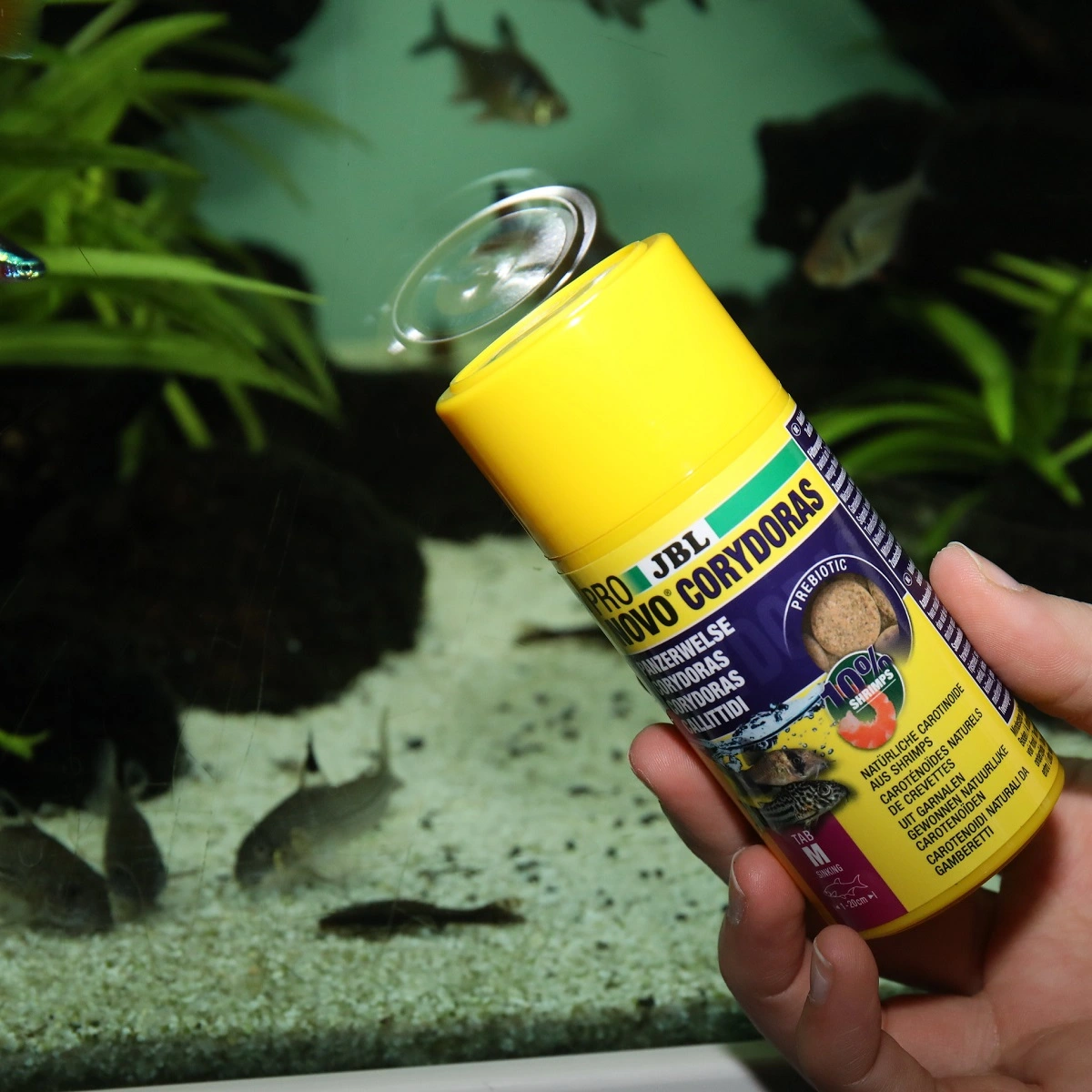 JBL ProNovo Corydoras Tab M 100 ml