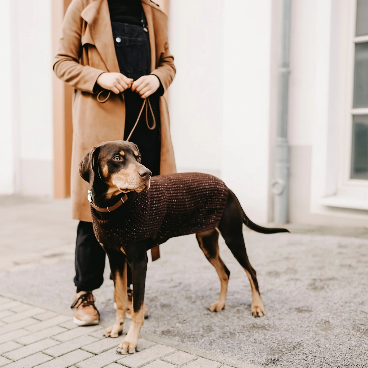 Hunter Finja pullover strik Mørkebrun str 40