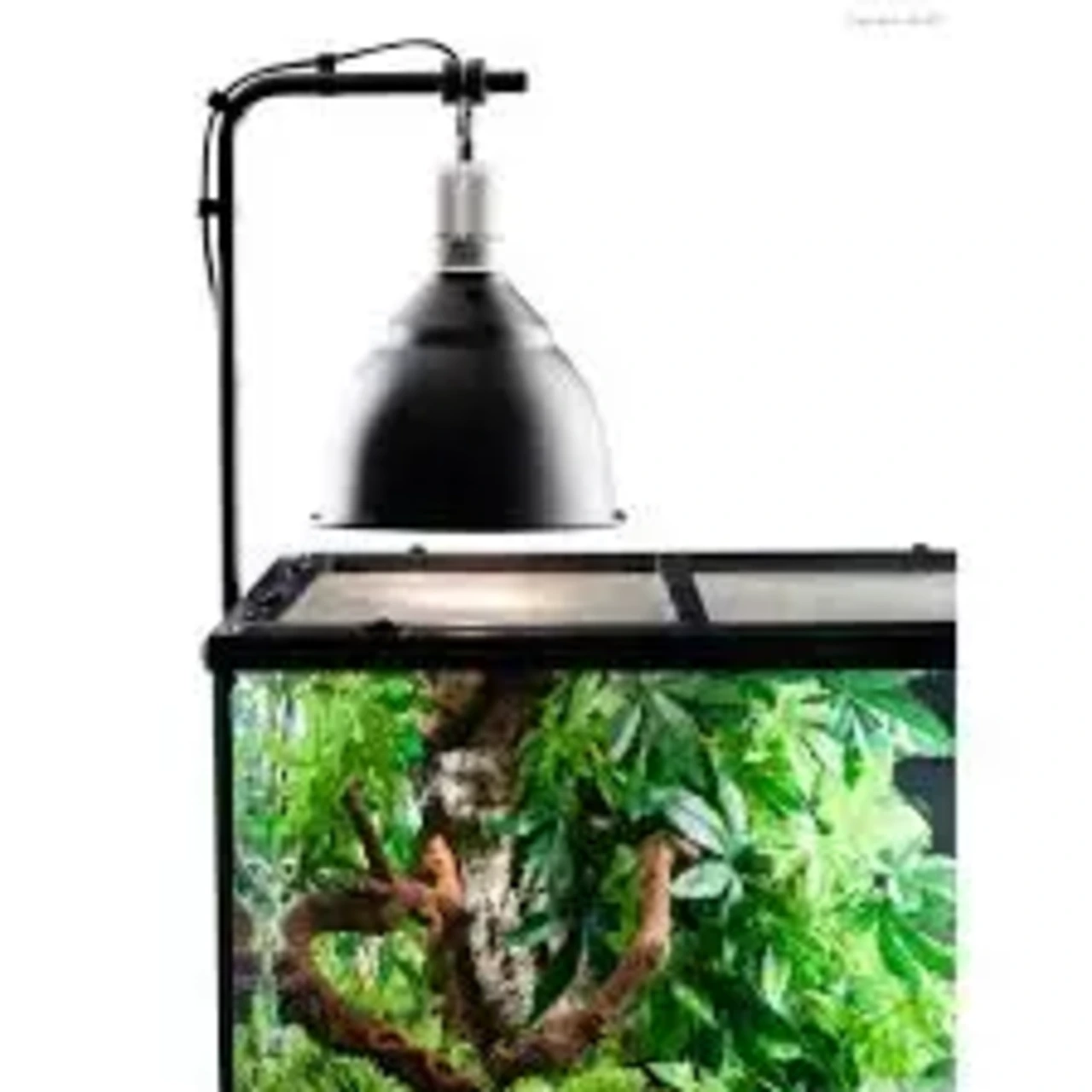 Exo Terra Light Dome lille