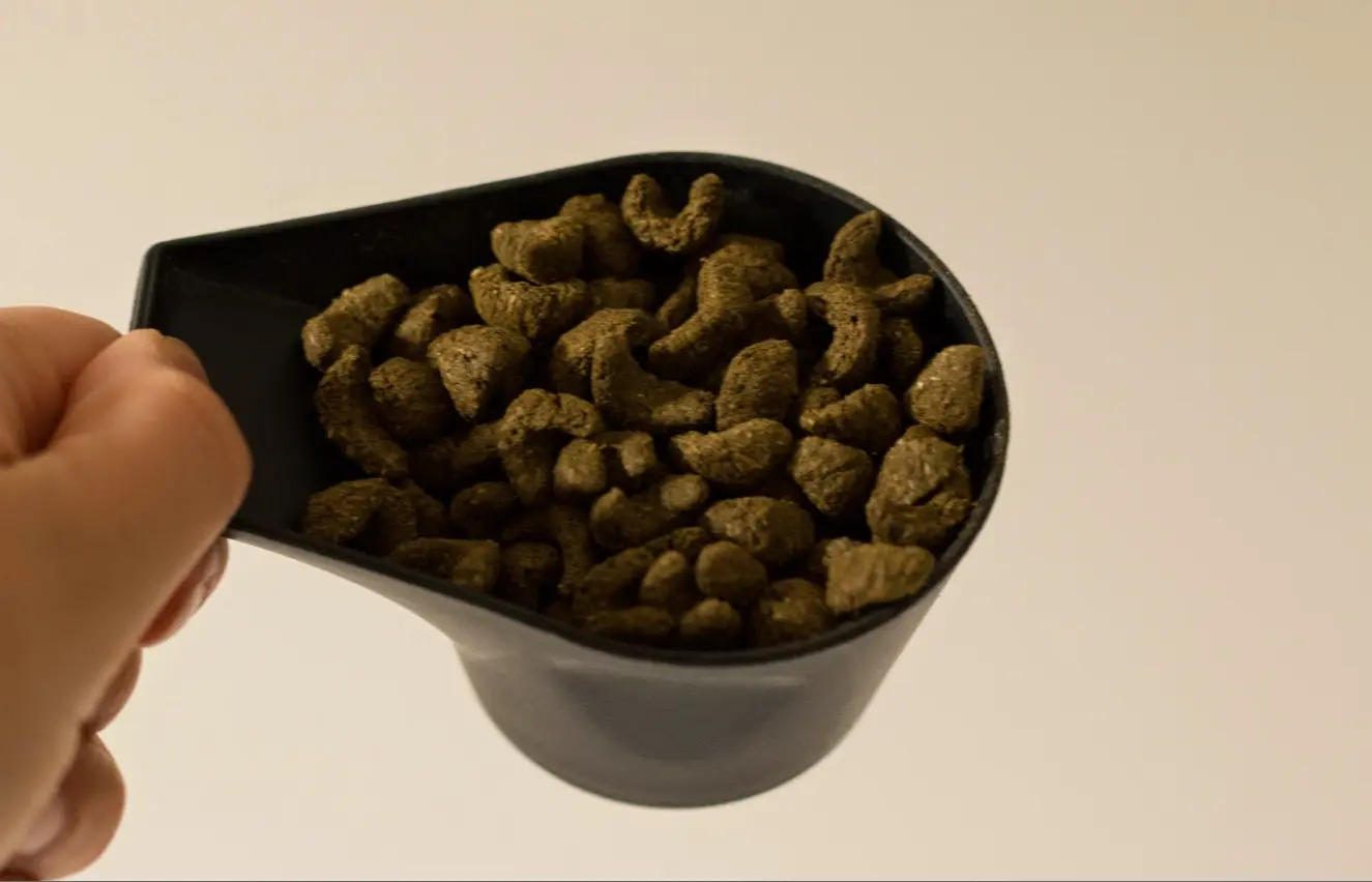 Burgess Excel Marsvin Mint 10 kg - fuldfoder til voksne marsvin