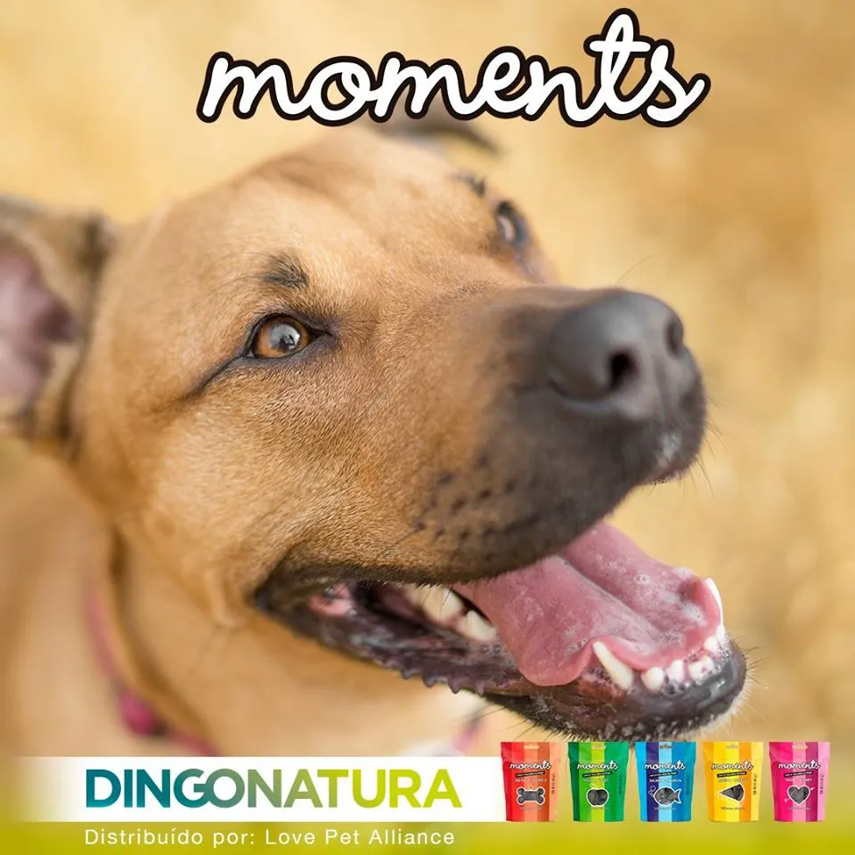 Moments hundesnack Laks 60 g - fuldfoder hundesnacks