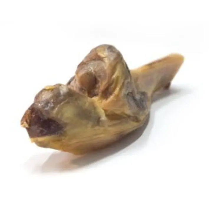 Alpha Spirit Skinkeben Halv - naturlig hundesnack, 1 stk