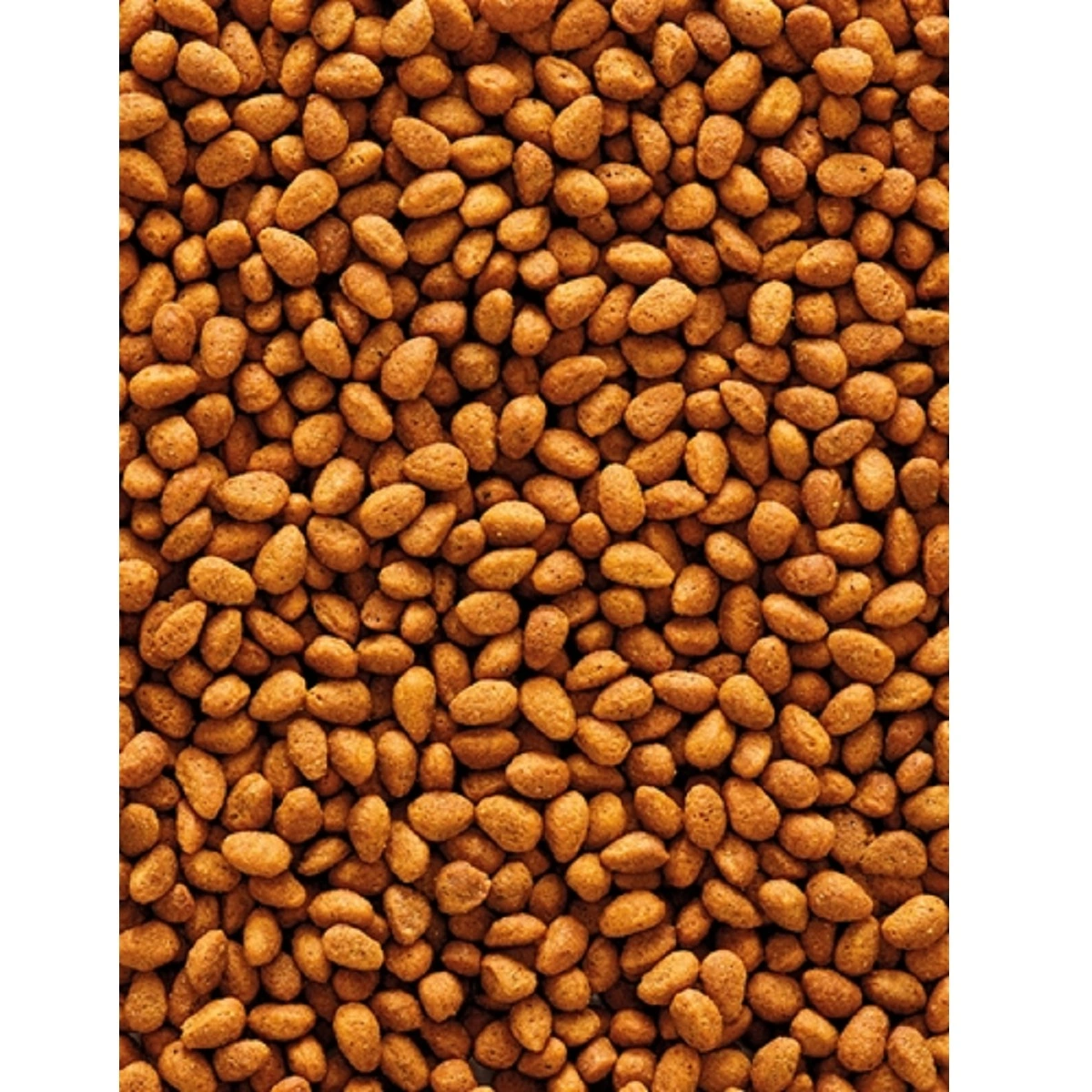 Nutribird G 14 Original Parakit 1 kg