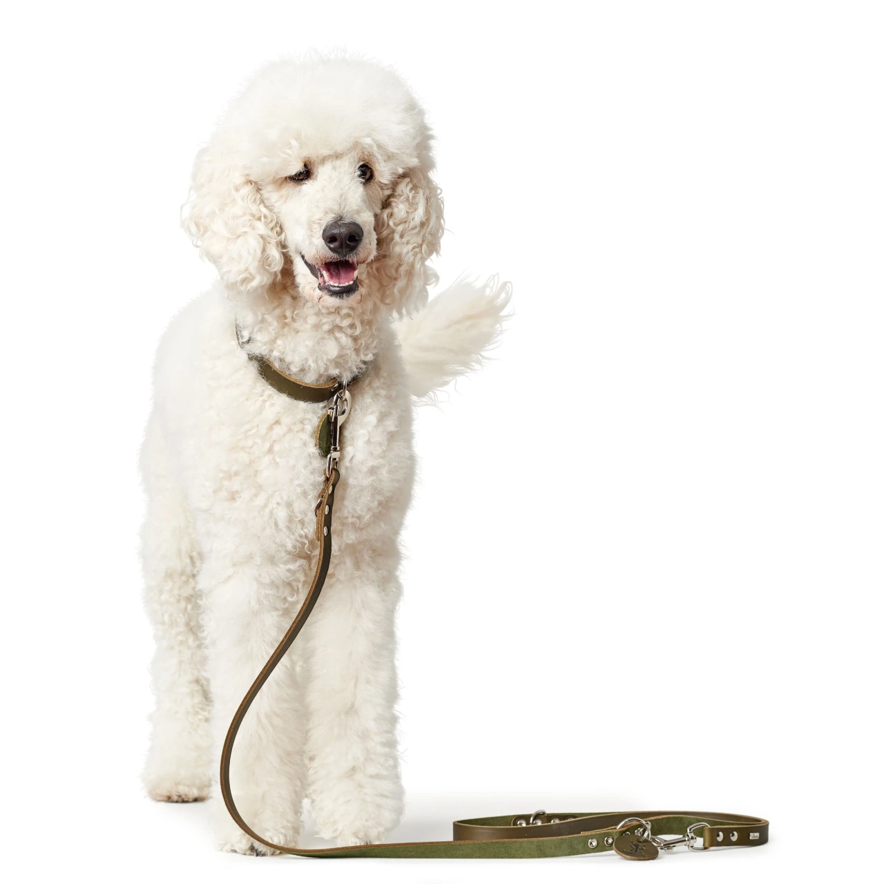 Hunter Aalborg Sport Oliven 47 hundehalsbånd - 37-43 cm