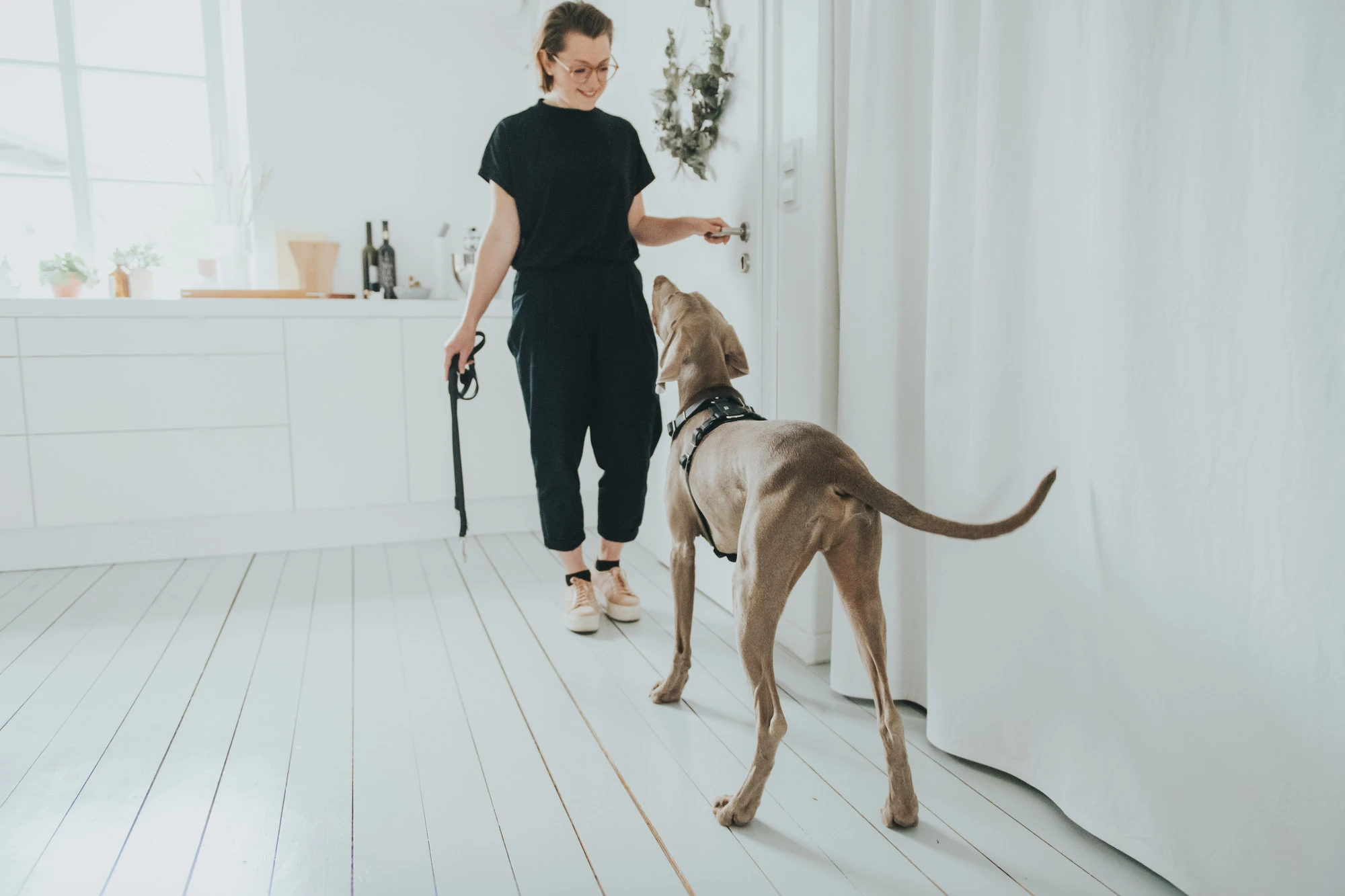 Hunter Hundesele Aalborg Sort S-M/2 - 51-64 cm bryst/hals