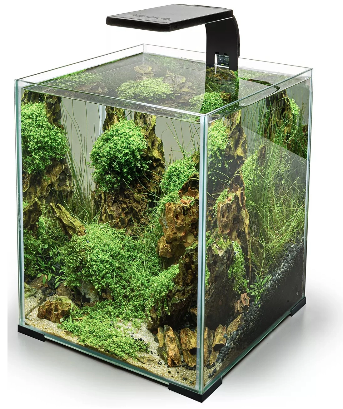 Leddy Smart Plant LED-Lampe Sort 4,8 W