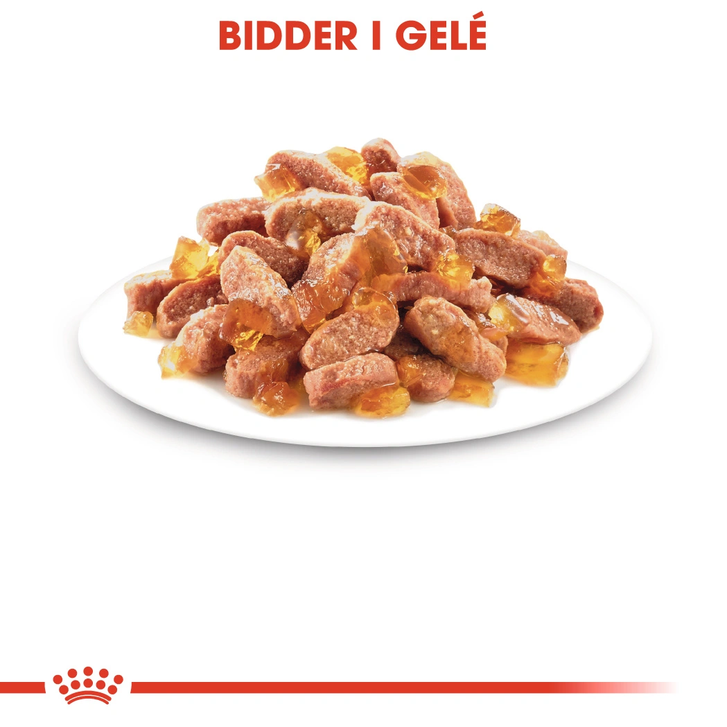Royal Canin Kitten Jelly - vådfoder 85 g