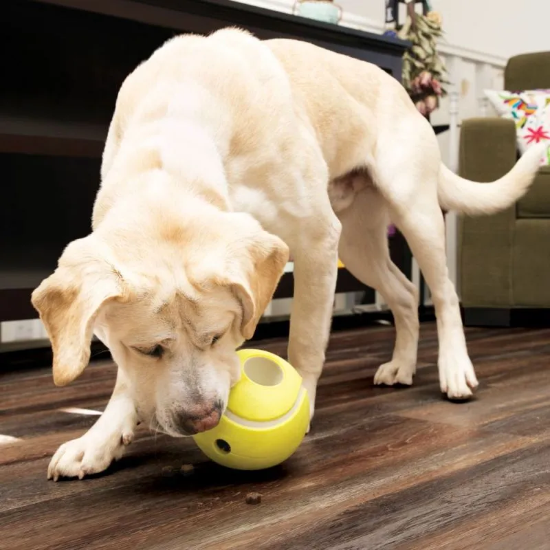 KONG Reward Tennis Gul Small 8 cm - aktiveringslegetøj til hunde