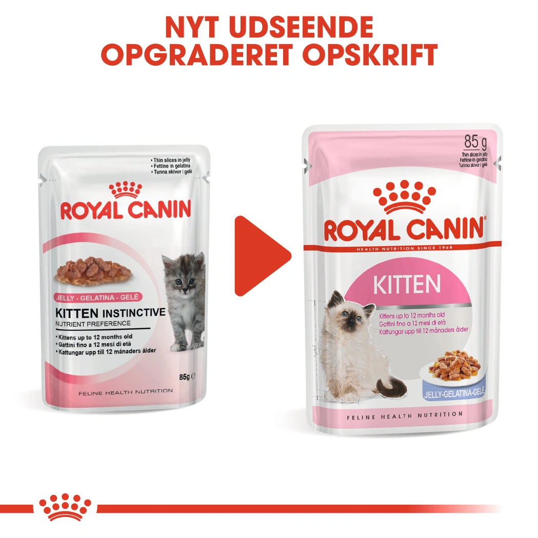 Royal Canin Kitten Jelly - vådfoder 85 g