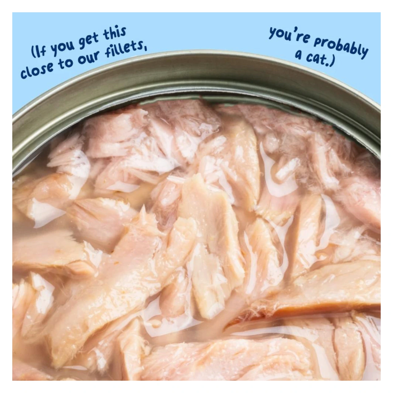 Edgard & Cooper kattefilet med tun i bouillon 70 g