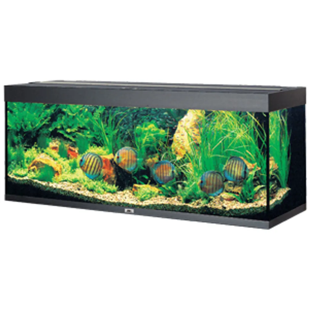 Juwel Akvarium Led Rio 450 Sort 151x51x66 cm 450 L