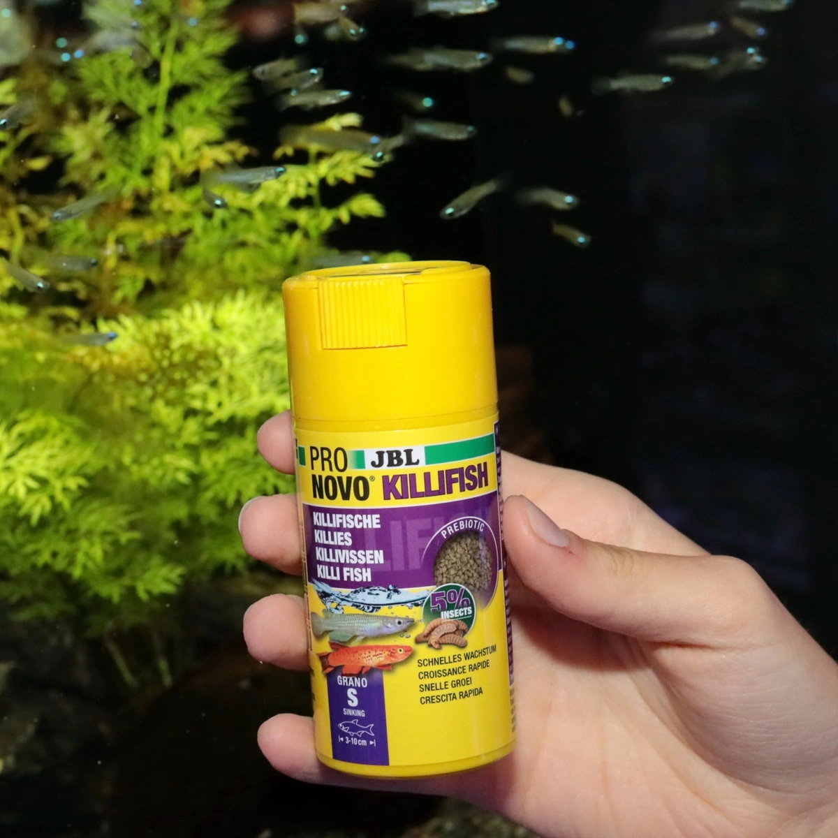 JBL ProNovo Killi fisk Grano S 100 ml