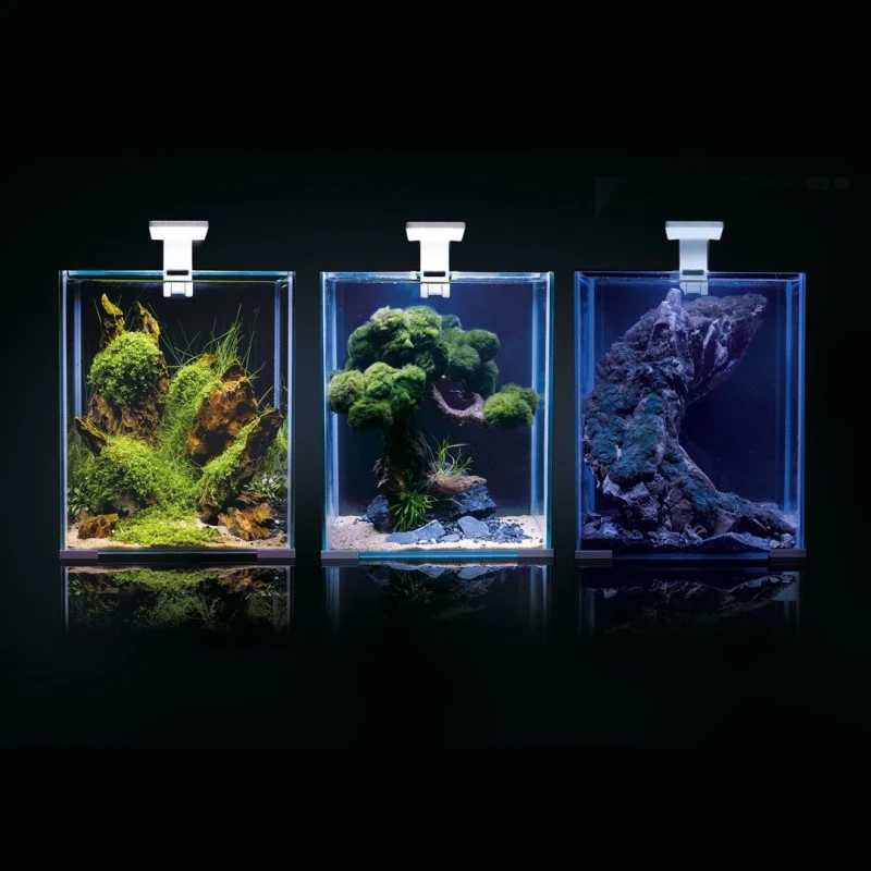 Shrimpset Day and Night 20 L akvarium 25x25x30 cm Sort