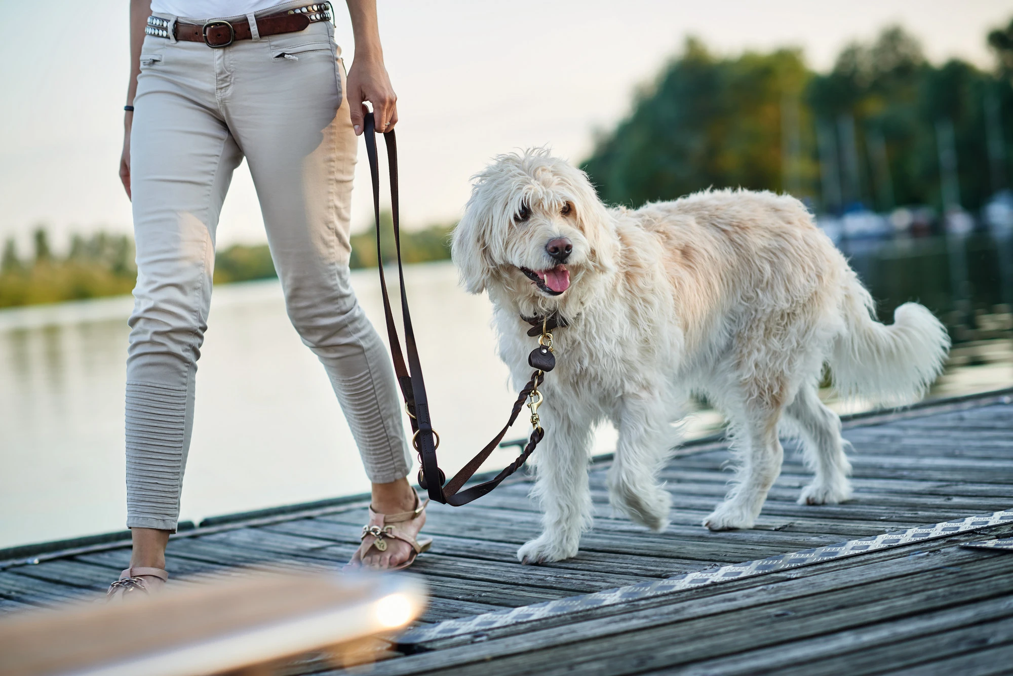 Hunter Sansibar Solid 40 Hundehalsbånd i læder - 30-36 cm