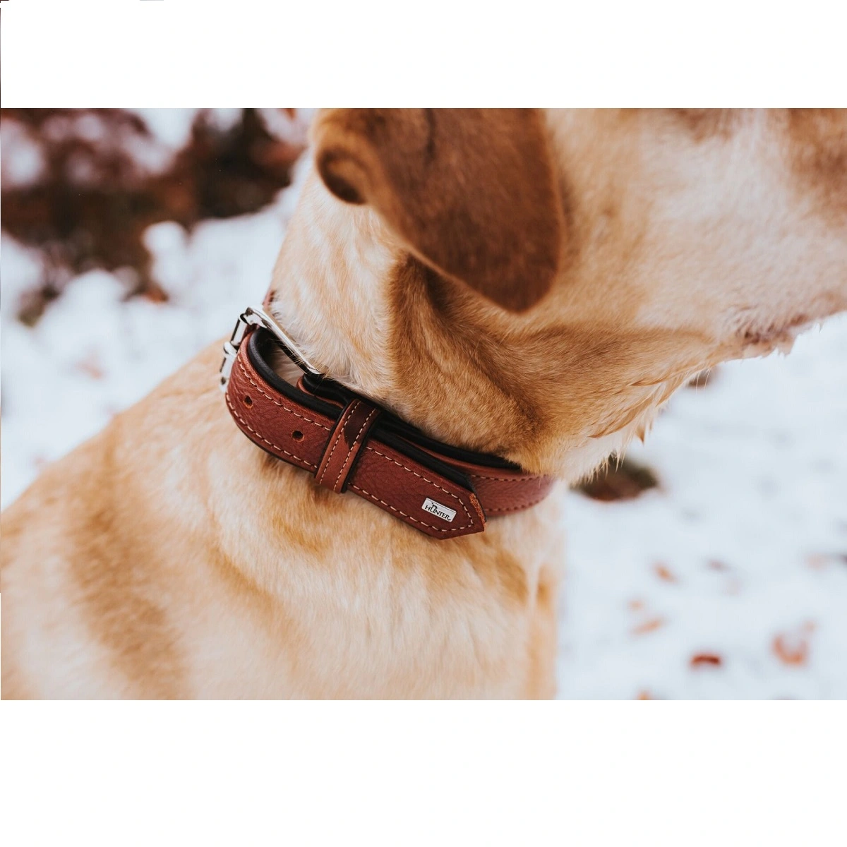 Hunter Canadian UP Hundehalsbånd Large 65 Cognac/Sort - 50-56 cm
