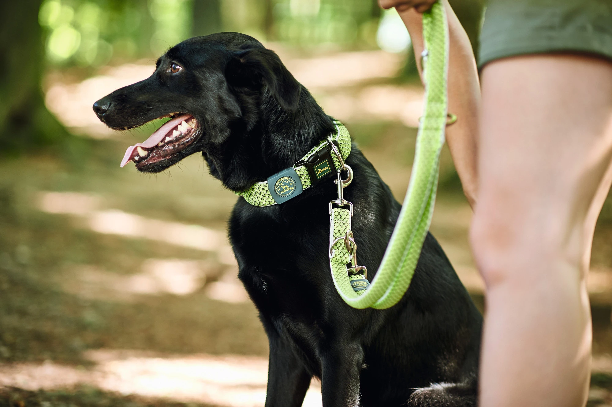 Hunter Hundesnor Hilo Lime 25/200