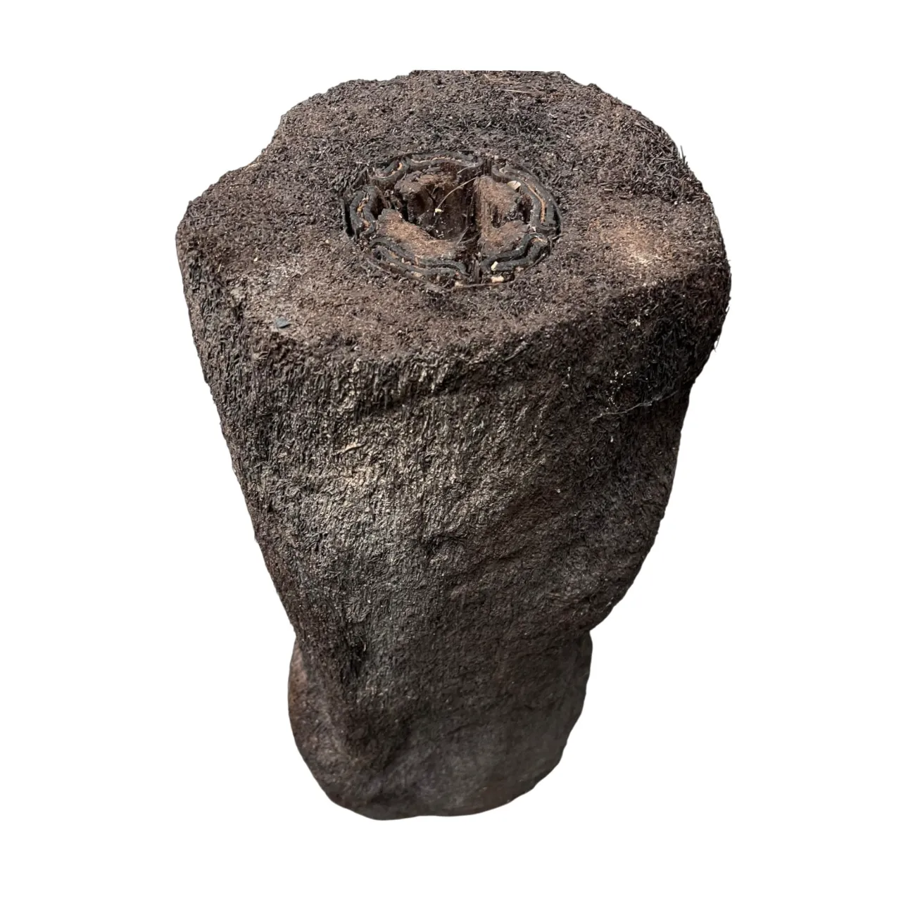 MiniZoo.dk Xaxim Træstamme Ø 30-40 cm XXL ca 1 meter