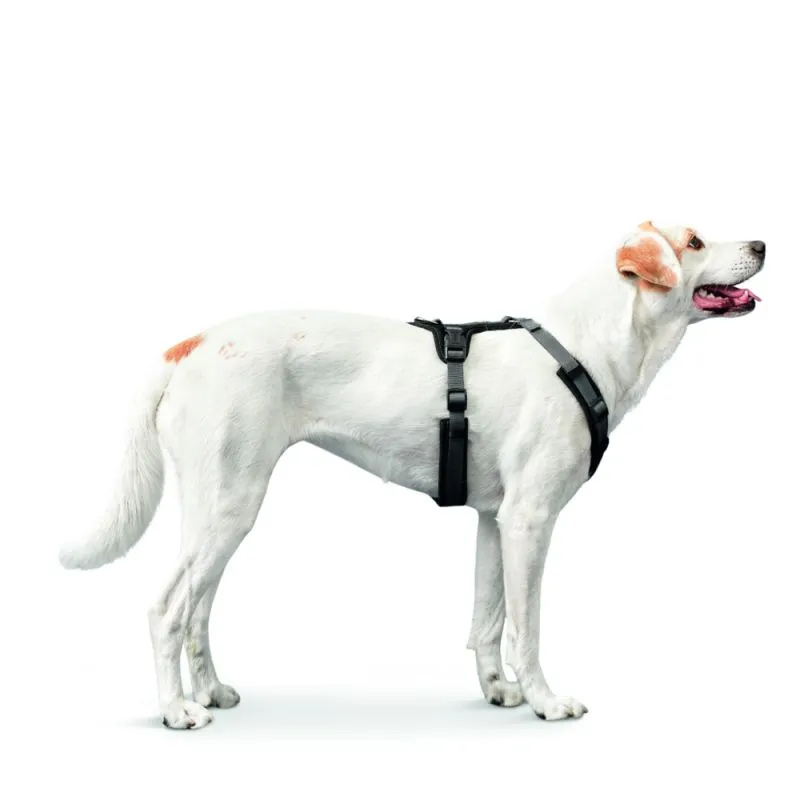 Hunter hundesele Maldon Sort og Grå XS længde 31-49 cm 1,5 cm - let og præcis pasform