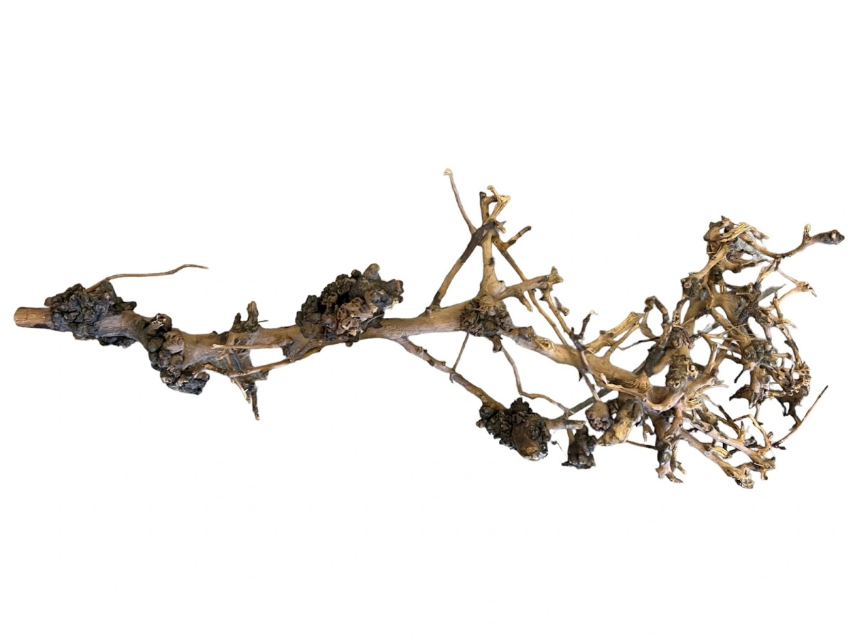 Aquascaping Root 25-35 cm