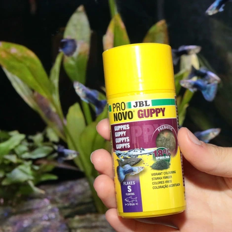 JBL ProNovo Guppy fiskefoder 100 ml Flagefoder