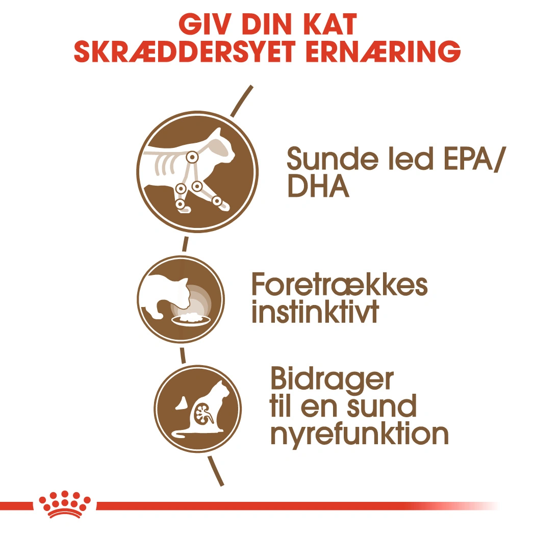 Royal Canin Ageing +12 Sovs - vådfoder 85 g