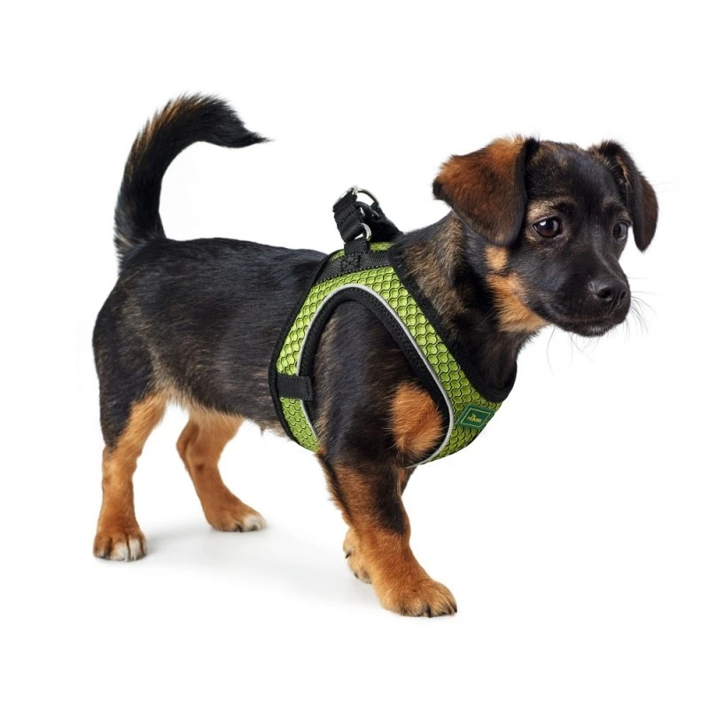 Hunter NY Hilo Comfort hundesele XS-S lime mave/bryst 40-46 cm - Fleksibel komfort til små hunde