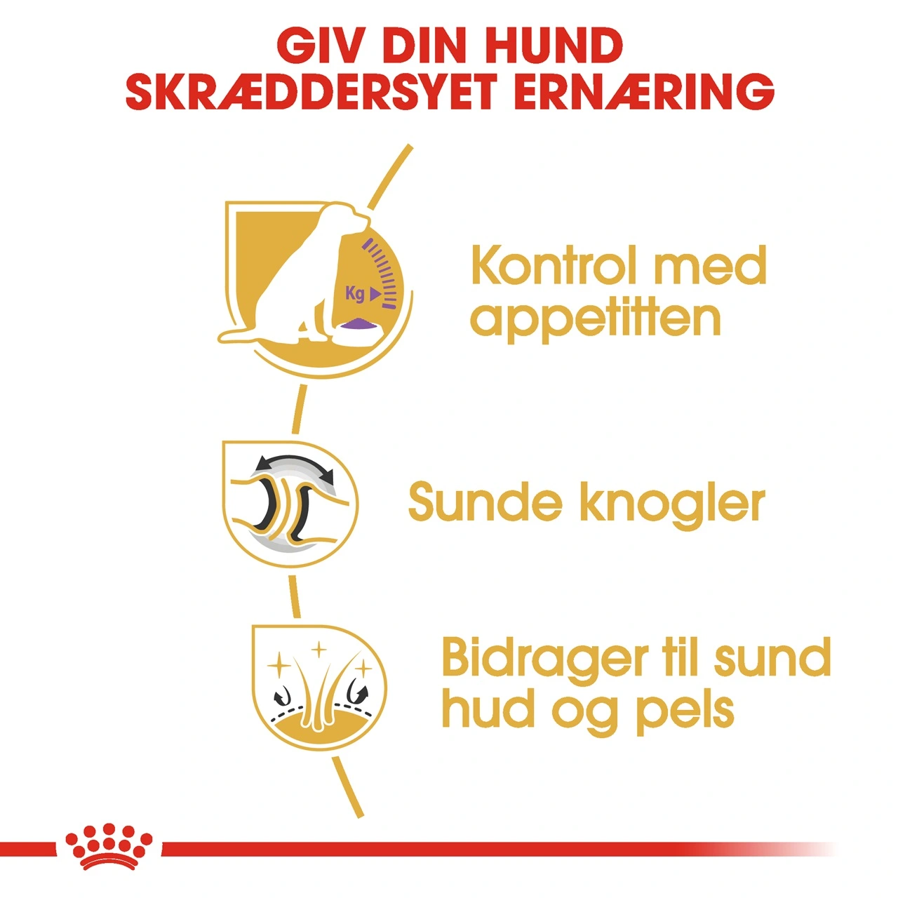 Royal Canin Labrador Retriever Sterilised Adult 12 kg - tørfoder til voksne hunde