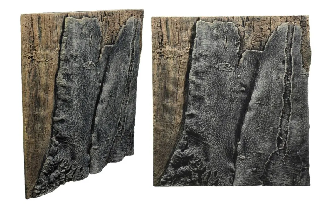 Back to Nature Slim-Line 60 B Amazone (50x55 cm)