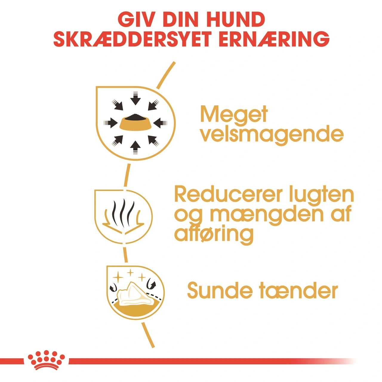 Royal Canin Chihuahua Adult 3 kg - tørfoder til små hunde
