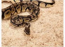Exo Terra Snake Bedding 26,4 L