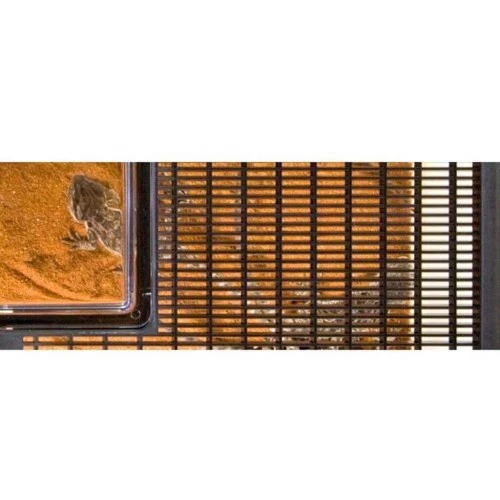 Exo Terra Faunarium stor (HPT2265)