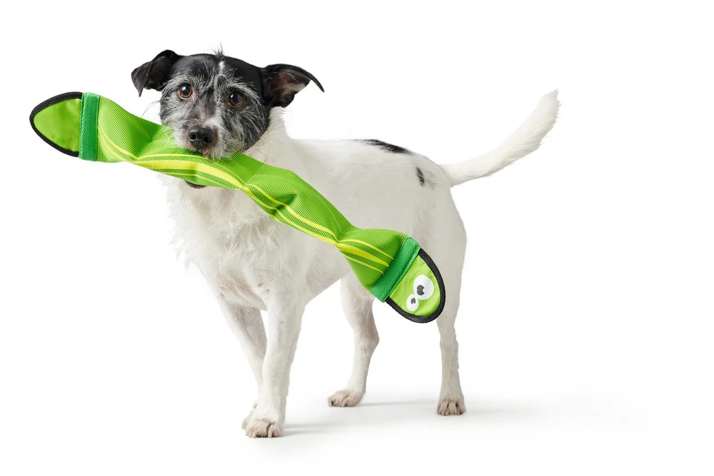 Hunter Aqua Mindelo Grøn - flydende vandlegetøj til hunde