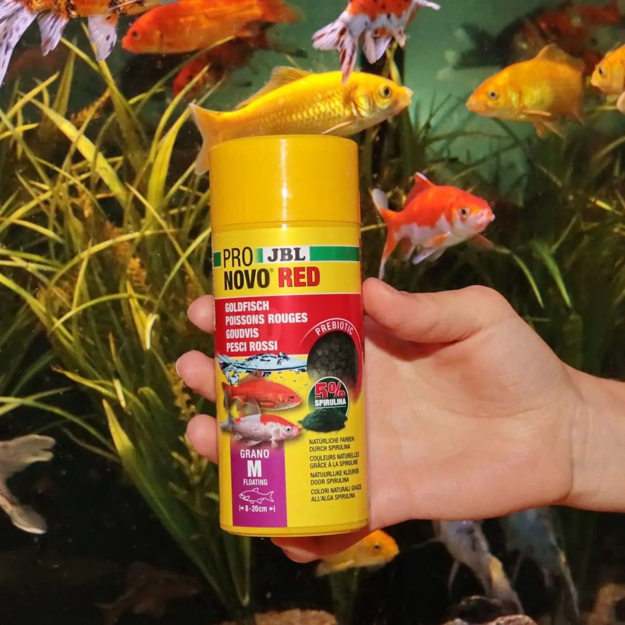 JBL ProNovo Red Grano M Guldfiskefoder 250 ml