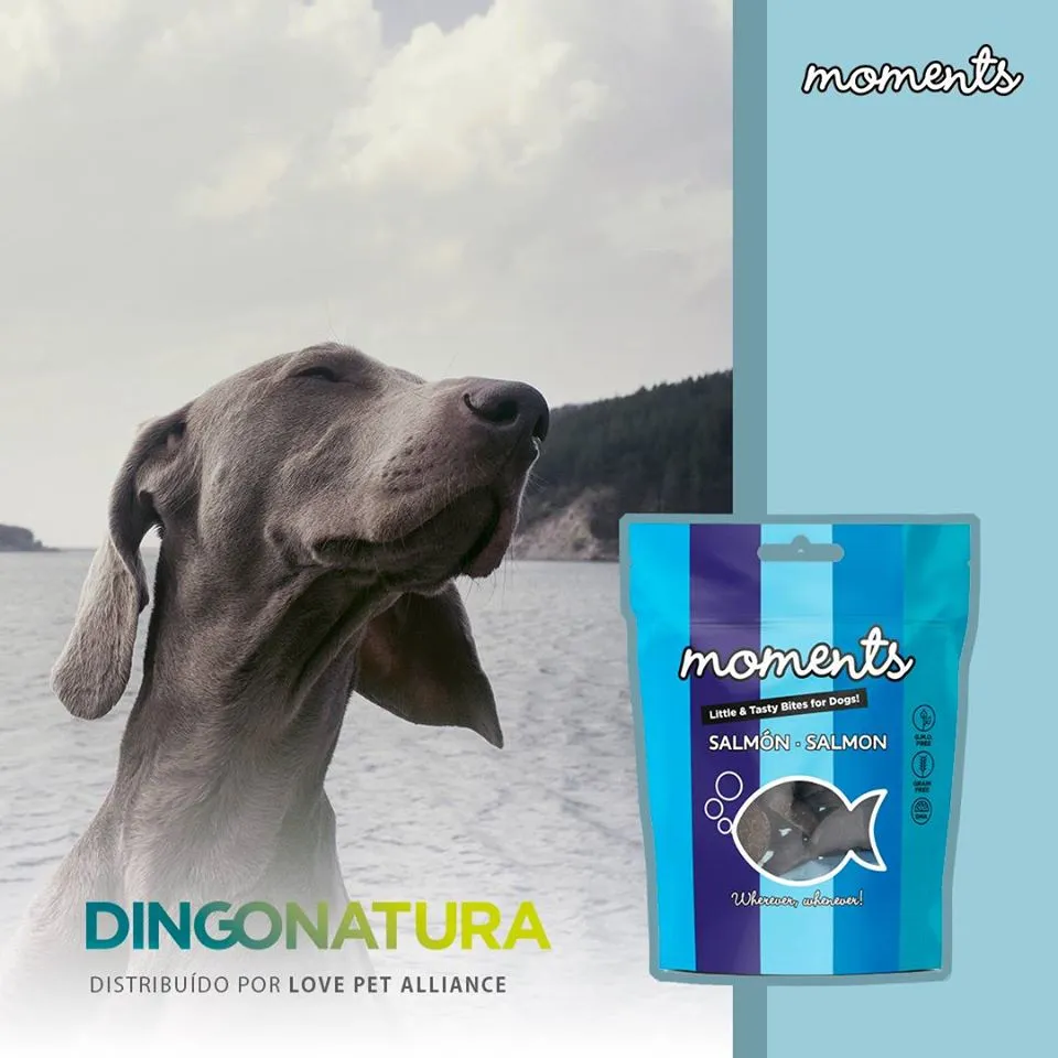 Moments hundesnack Laks 60 g - fuldfoder hundesnacks