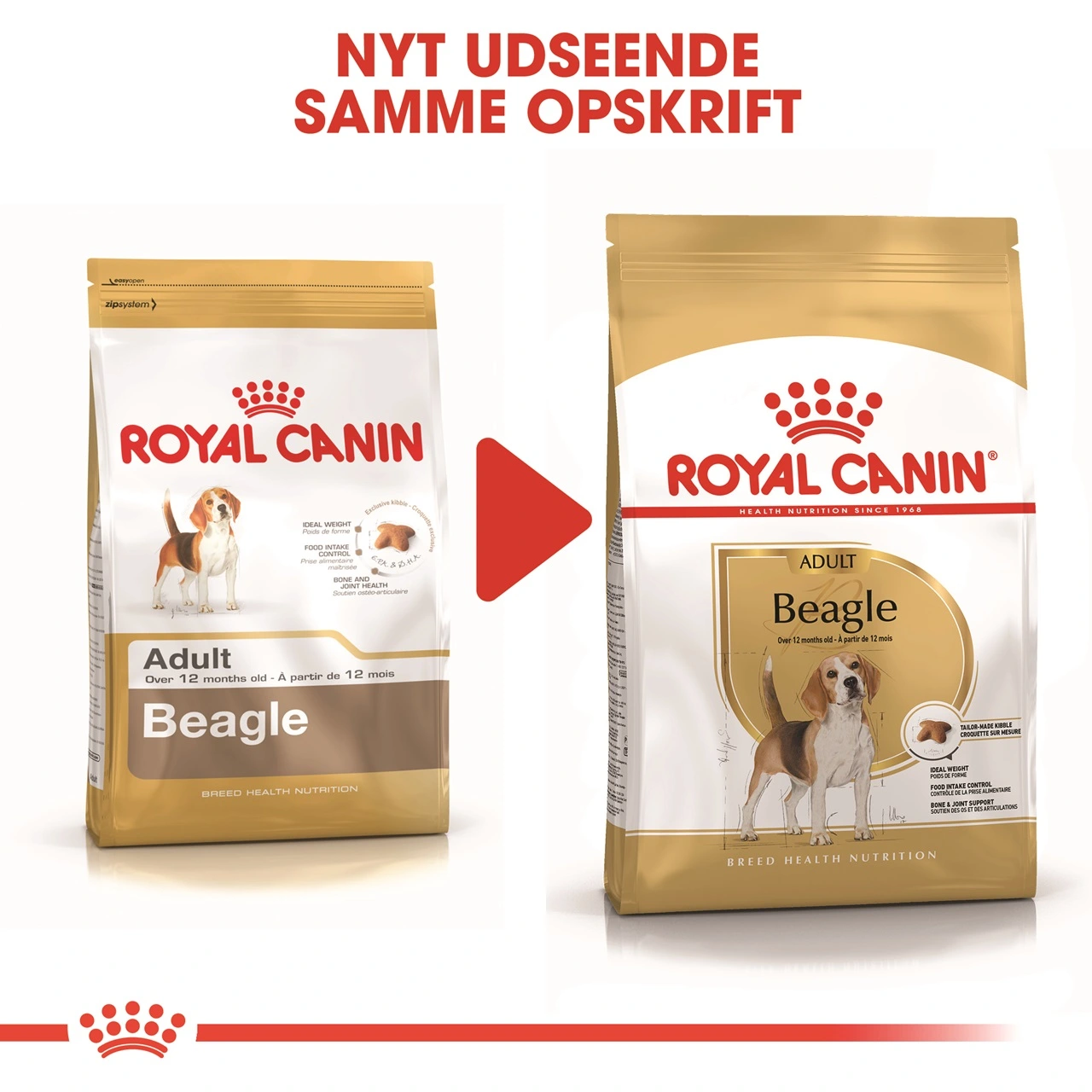 Royal Canin Beagle Adult 12 kg - tørfoder til voksne hunde