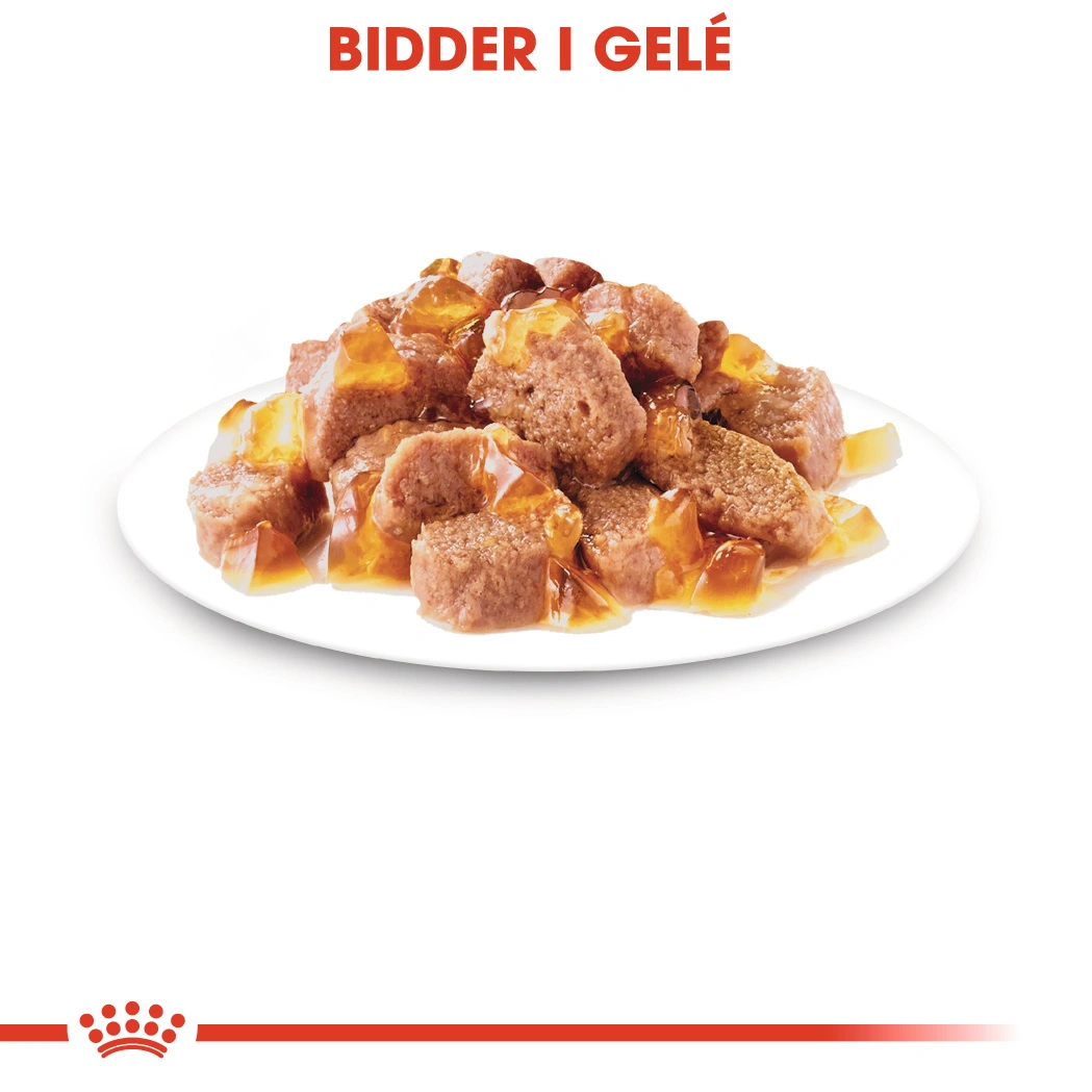 Royal Canin Instinctive Jelly - vådfoder 85 g